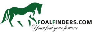 FoalFinders – Die Plattform für Fohlen & Youngsters